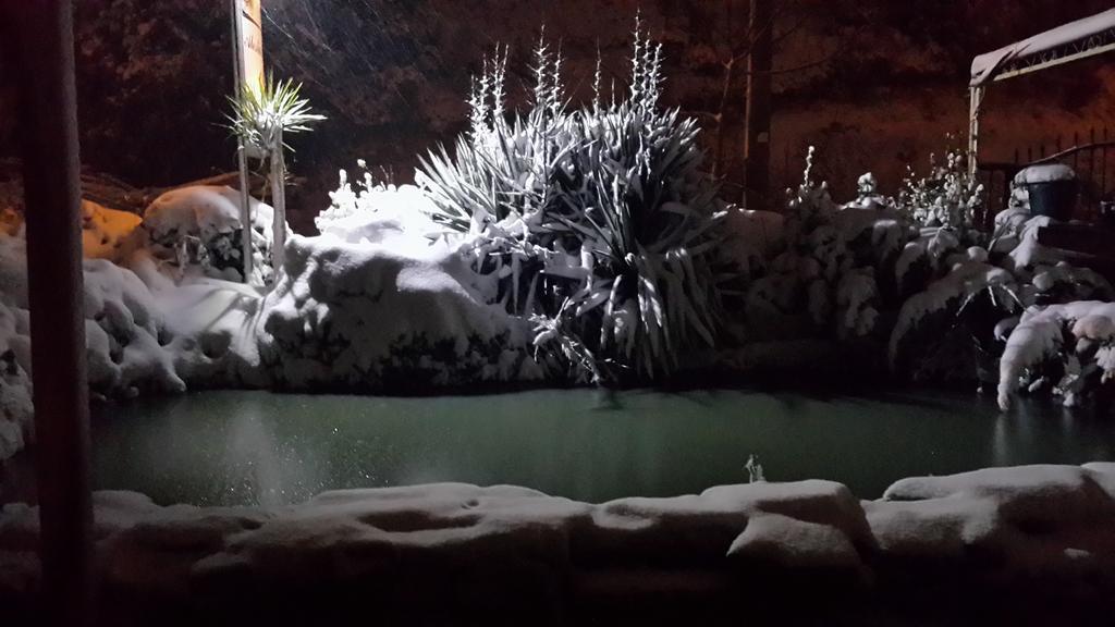 Alesta Butik Otel Ağva Екстериор снимка